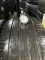 235/55 R19 Continental EcoContact 6, 19 год, пара шин летних