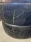 205/50 R17 Dunlop Winter Sport пара шин зимних.